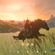 I couldn’t pick from all the great Zelda pics I have, so I decided to only use screenshots from my first weekend with the game.